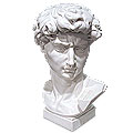 David Bust - marble white historial bust